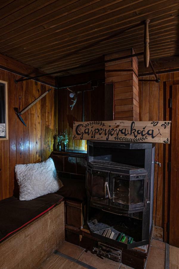 Chalet Gasparjeva Velika Planina Kamnik Kültér fotó